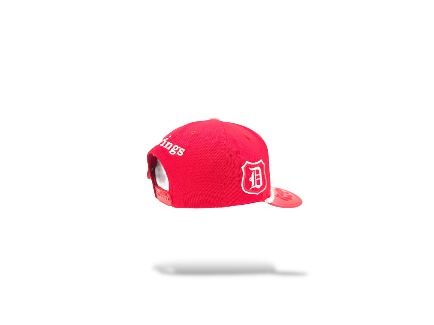 Detroit red wing NHL